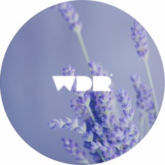 Sade - Feel No Pain (Mendy Edit) [FREE DOWNLOAD] [WDFD002]