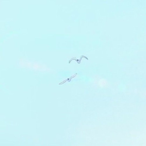 Tenderly, two line (STUD10IO5 Bootleg)