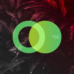 David Eye - Allion (Original Mix)