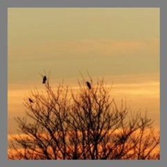 No Trials / Place Names