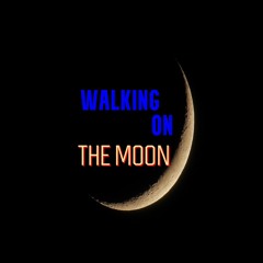 Walking On the Moon - Sting/Police Cover