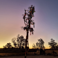 Wildhorse sanctuary sundance 2016