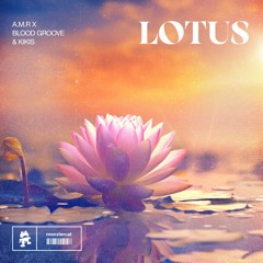 A.M.R x Blood Groove & Kikis - Lotus