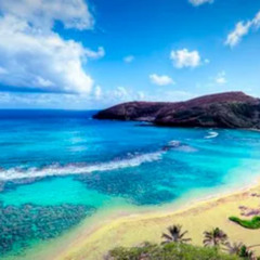 Lost Island Session. 25