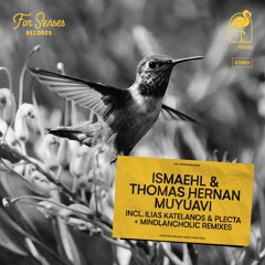 LTR Premiere: Ismaehl, Thomas Hernan - Muyúavi (Ilias Katelanos & Plecta Remix) [ForSenses Records]