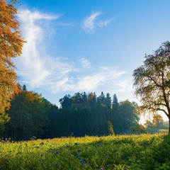 She's My Morning Light (P243 - 24)