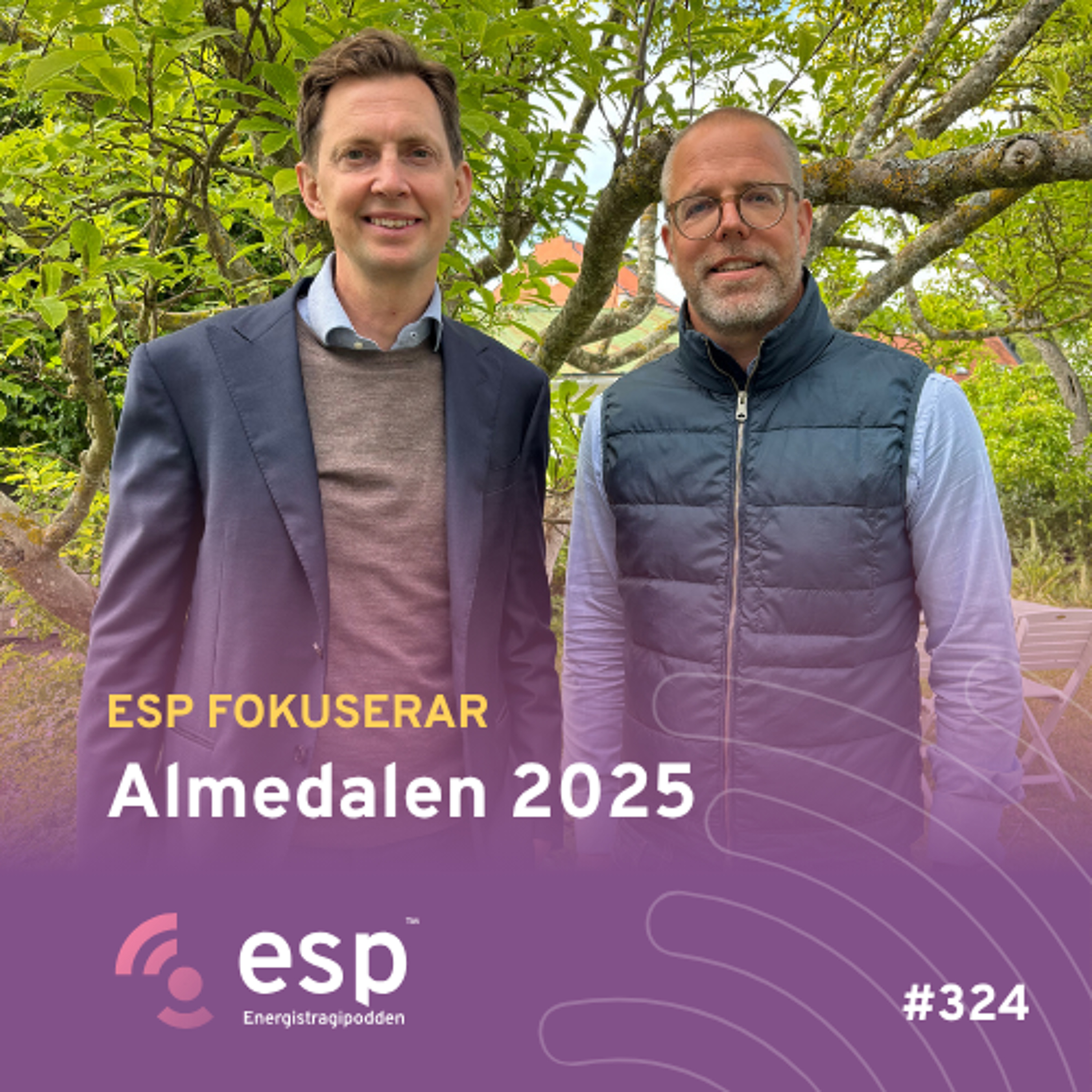 #324 - Energistrategipodden fokuserar på Almedalen 2025 med Erik Bergström, Statkraft episode artwork