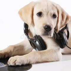 你要走得付出代價(prod.DAMNLIFE)