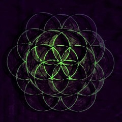 Dj Fly Agaric - Progressive House/ Melodic Techno Dj Mix  inspired by MiMo ;]