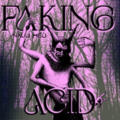 NAUJ MEJ - Faking Acid | Free DL
