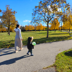 THE LIGHT OF KNOWLEDGE - Structure and Commentary