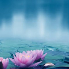 Meditation #6- Awakened Heart