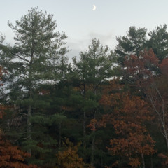 shoes.. (prod.  mommasboy)