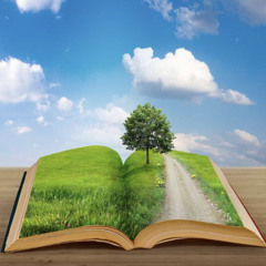 xaviersobased x hoodtrap x ambient jerk type beat "rush"