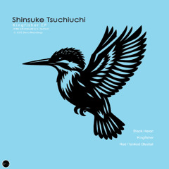 Shinsuke Tsuchiuchi - Kingfisher EP  |  SR084