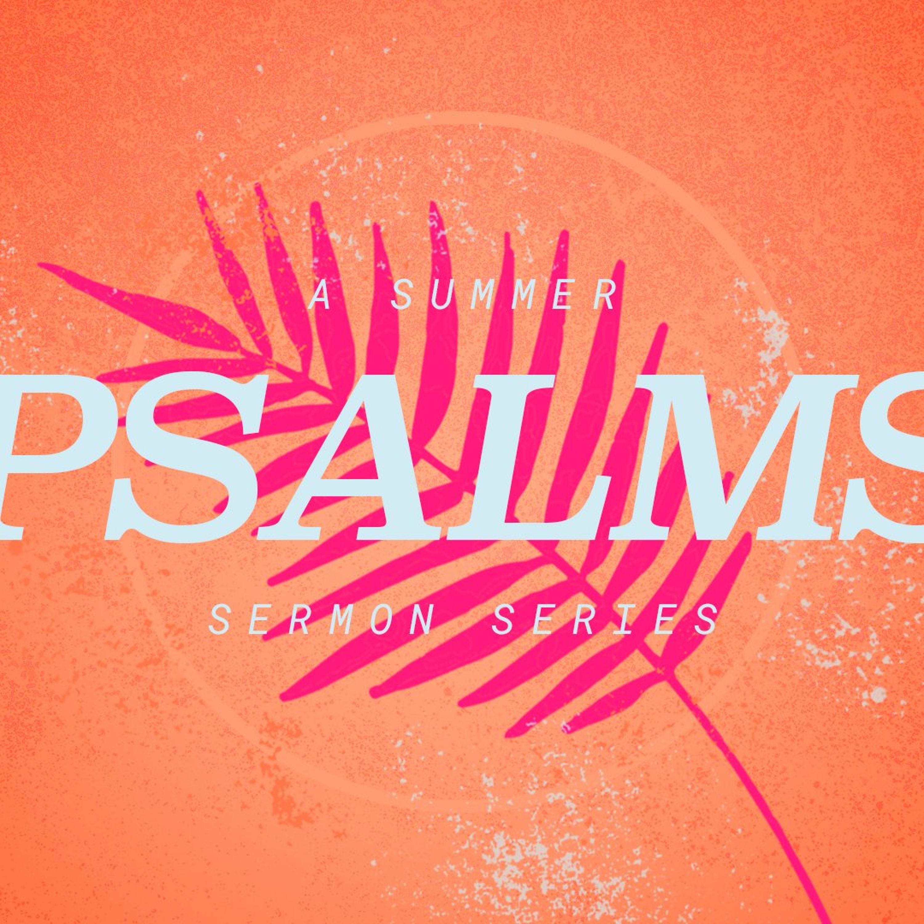 Psalm 19 - The Discipleship Quick Start episode artwork