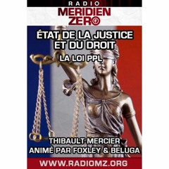 Emission n°413 : "Entretien avec Thibault Mercier sur la PPL sur la sécurité globale"
