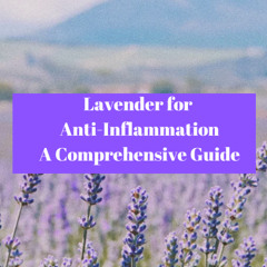 Lavender for Anti-Inflammation - A Comprehensive Guide