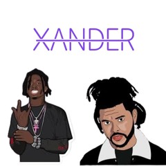 Timeless (Xander Remix)