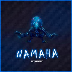 Mr Jammer - Namaha (Original Mix) |NoFace Records|