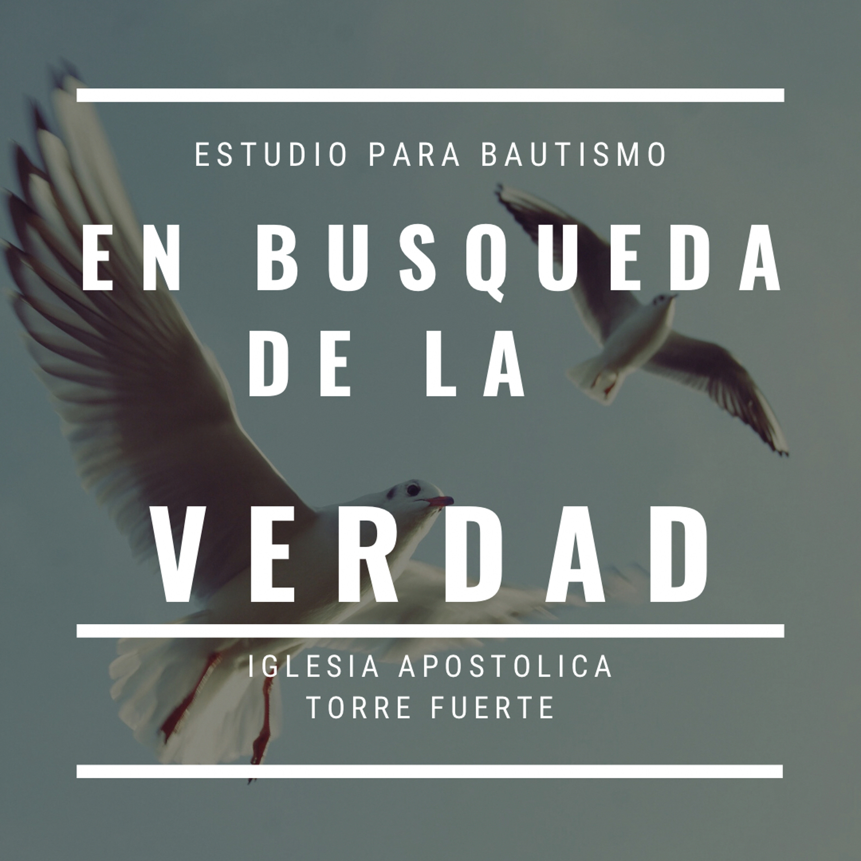 Predicaciones Cristianas Apostolicas