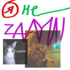 YA NE ZNAYUU!