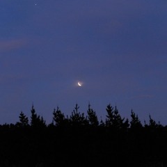 Everything (ft Forevr Miya)