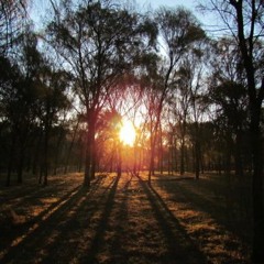 Williams, Western Australia, AUSTRALIA