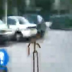 BALBALAEP1VCDבלבלה [taconiel]