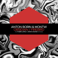 Premiere: Anton Borin & Montw - Firebird (Aman Anand Remix) [Juicebox Music]