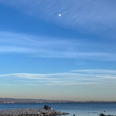 Salmo x Gigi Perez - Flashback x Sailor Song