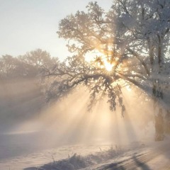 beabadoobee remix (prod. OK)