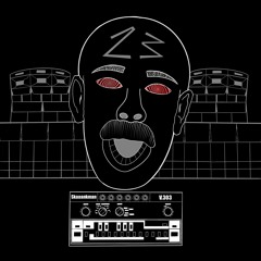 Skaaankman V.303 (FREE DL)