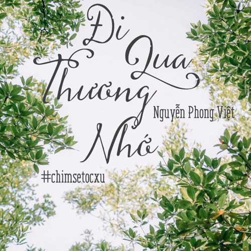 Thơ | Đi Qua Thương Nhớ | Nguyễn Phong Việt | Người đọc: Chim Sẻ Tóc Xù