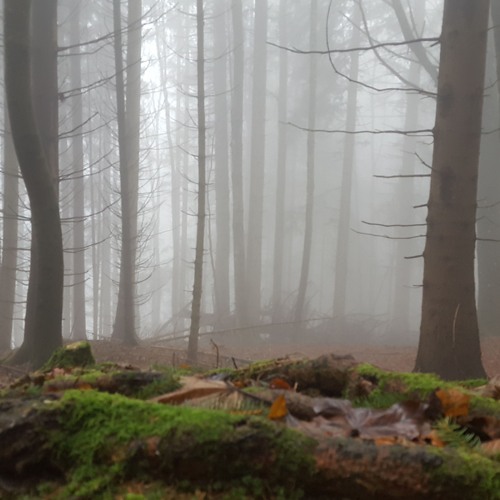 Session 214 -The Earth in Dub- played live on WTMO