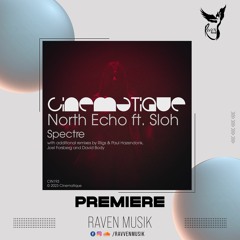PREMIERE: North Echo - Spectre (Riigs & Paul Hazendonk Remix) [Cinematique]
