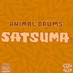 Animal Drums - 'Round The Graveyard