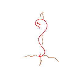 "but i am a worm, and no man..." (entry 74115)