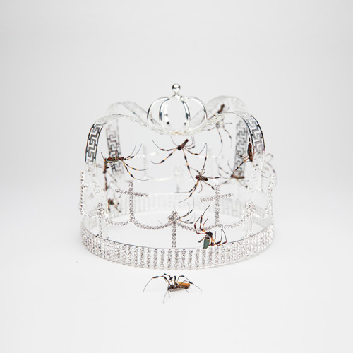 you should see me in a crown by Billie Eilish | Free ...