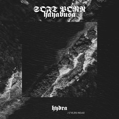 𝐂𝐕𝐋𝐓𝐎 𝐍𝐎. 𝟎𝟐 | SOFT PORN - Hayabusa [FREE DOWNLOAD]