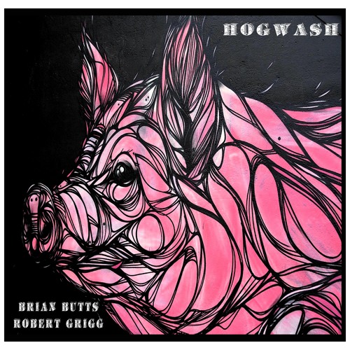 Hogwash - Brian Butts (feat. Robert Grigg)