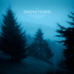 snowtown