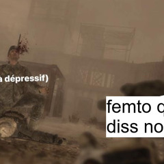 F.A.B   FEMTOGO