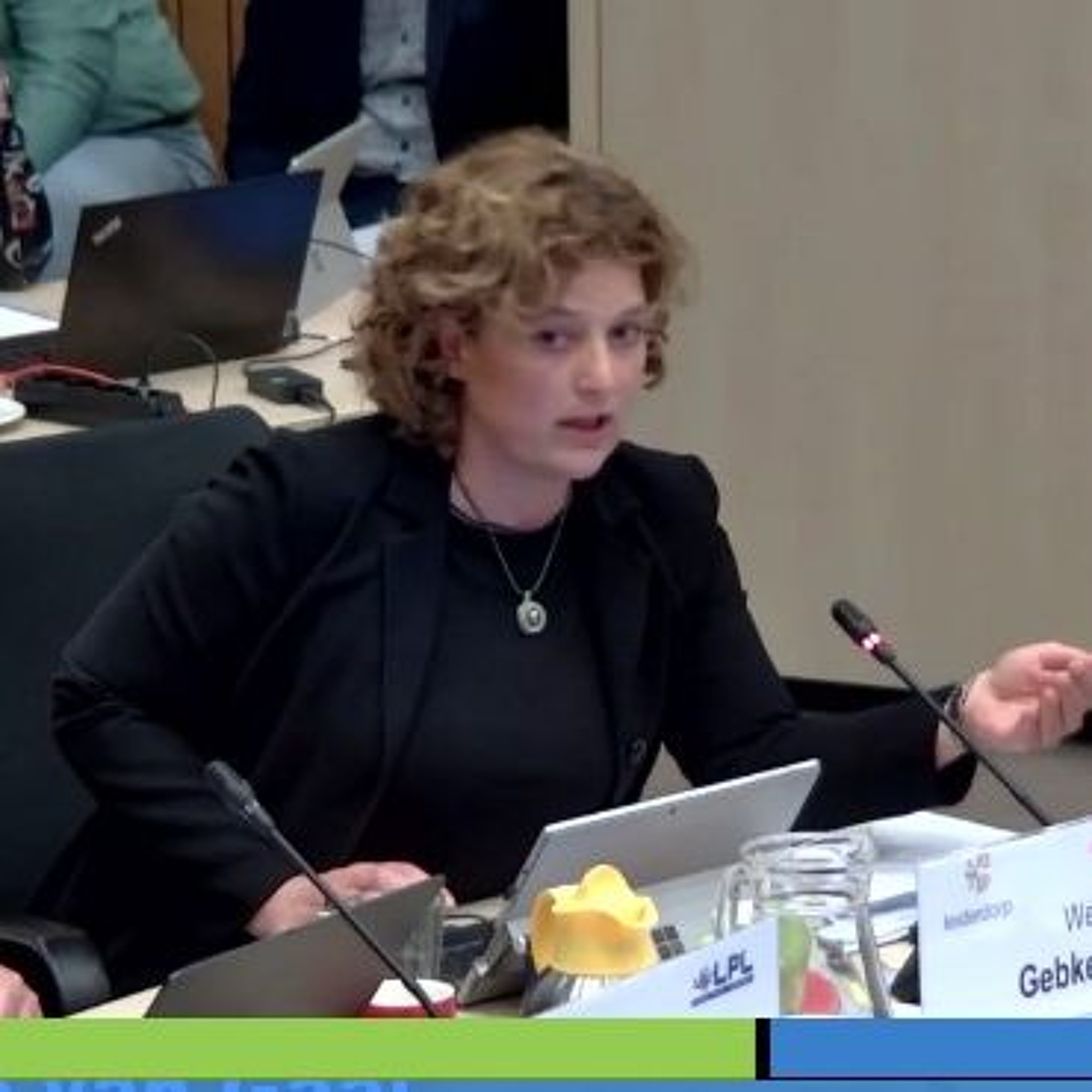2025-11-04 Wethouder Gebke van Gaal over verkeersmaatregelen op de Gallas-, Heinsius- en Voorhoflaan episode artwork