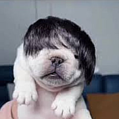 RAP LONELY TRISTE SEM AMIGOS VEJA ATÉ O FINAL DEPRESSÃO.txt