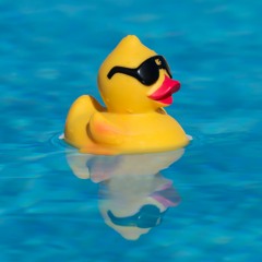 I never go swimming without my rubber ducky!