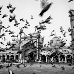 The Sound of Wings LIVE