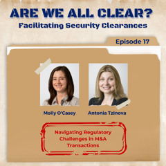 Navigating Regulatory Challenges in M&A Transactions