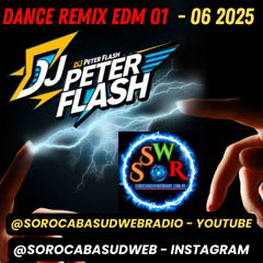 DANCE REMIX EDM 01 2025 DJ PETER FLASH 06-2025