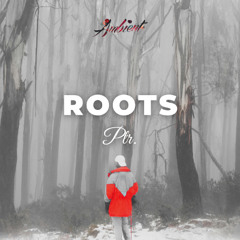 Ptr. - Roots
